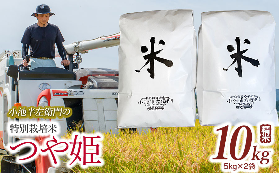
            数量限定 【令和7年産先行予約】 山形県庄内産 小池半左衛門のお米 特別栽培米 つや姫 精米 10kg (5kg×2袋)
          