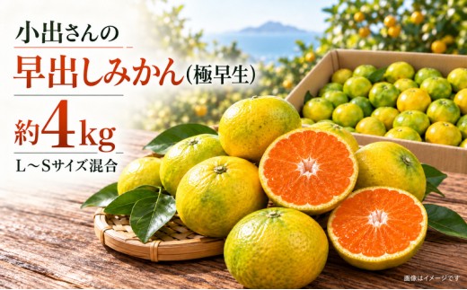 小出さんの早出しみかん（極早生）約4kg 果物類 柑橘類 フルーツ ミカン 蜜柑 くだもの