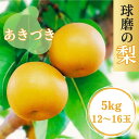 【ふるさと納税】熊本県JAくま産 球磨の梨　あきづき 5kg(12玉～16玉)　 お届け時期：2025年8月下旬〜9月上旬