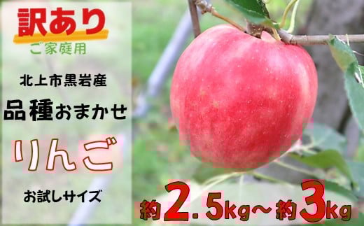 訳あり りんご 約 2.5kg ～約 3kg　( 品種おまかせ ）季節のりんご 旬のりんご リンゴ お試し 家庭用  品種 おまかせ サンフジ ジョナゴールド 早生ふじ シナノゴールド 岩手県 北上市 C0605 国産 フルーツ 林檎 アップル 詰合せ セット