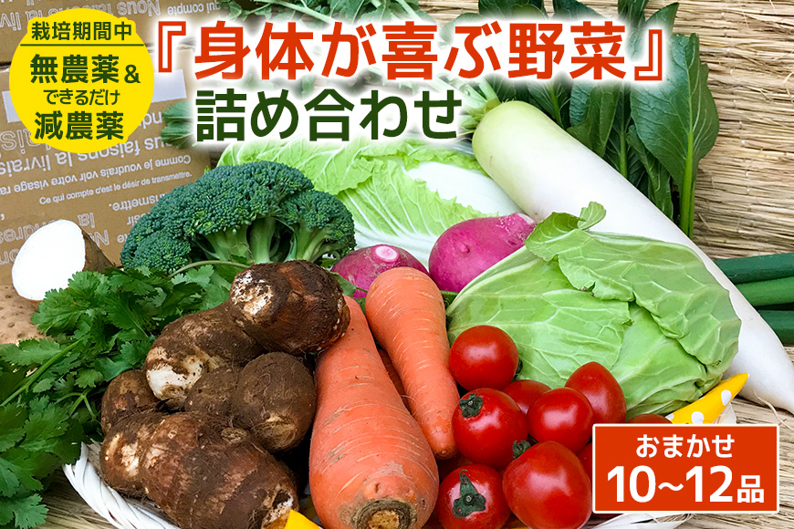 『身体が喜ぶ野菜』詰め合わせ ( おまかせ 10～12品) 野菜 詰合せ 詰め合わせセット お任せ 季節の野菜 セット 栽培期間中農薬不使用 有機栽培 微生物農法 EM農法 露地栽培 産地直送 新鮮 野菜ボックス ギフト 家庭用 茨城県 潮来市 (A03-001)