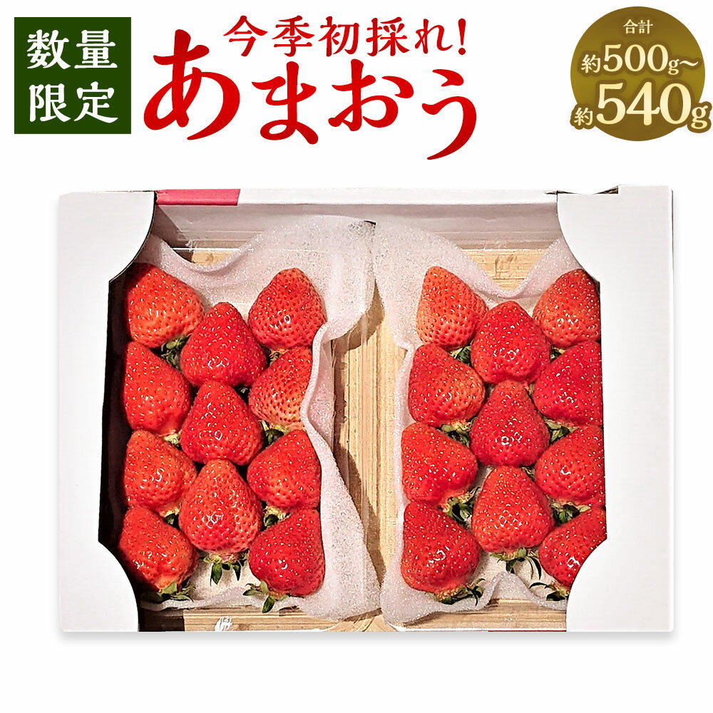 【ふるさと納税】【数量限定】今季初採れ あまおう 計約500～540g 約250～270g×2パック 規格お任せ 大粒 いちご イチゴ 苺 フルーツ 果物 果実 冷蔵 国産 九州 福岡県 香春町 送料無料 【2026年12月上旬～2027年1月下旬発送予定】