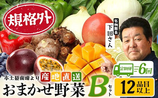 
                  【定期便全6回】【規格外】本土最南端から 旬のおまかせ野菜セットB 12品目以上  NI-8 ｜ 旬 野菜 やさい  果物 くだもの  産地直送  農産物 冷蔵 鹿児島県 南大隅町産  詰合せ  おまかせ 家庭用 訳あり なんたん市場
                