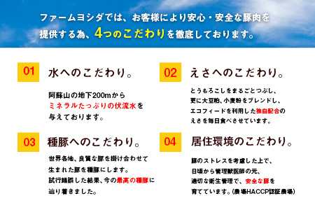 えころとん・豚肉5種(計1100g) バラエティセット《60日以内に出荷予定(土日祝除く)》熊本県産 有限会社ファームヨシダ