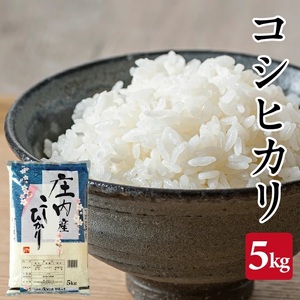 1360R07　庄内産コシヒカリ5kg（令和7年産米）
