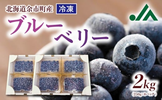 冷凍ブルーベリー 250g×4パック×2箱 北海道産　甘くてジューシー 余市産 ブルーベリー 250g × 4パック × 2箱 合計 2kg 冷凍 北海道産 国産 高い栄養価 抗酸化作用 高血圧予防 