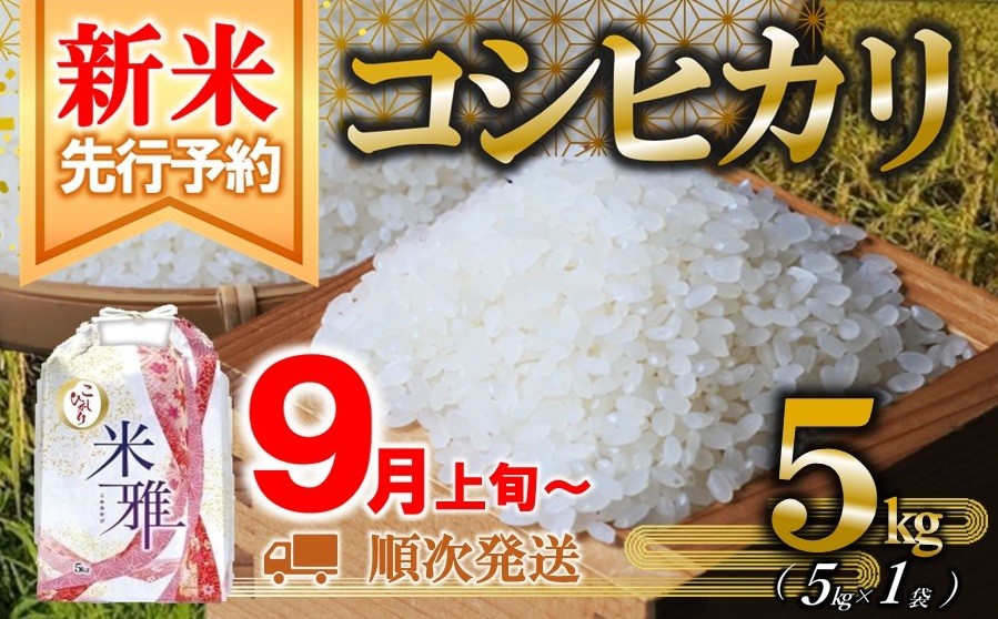 
                  【先行予約】コシヒカリ 5kg【新米】 白米 令和８年産 精米 直前精米 化学肥料不使用 有機米 お米 こめ コメ こしひかり 人気 兵庫県産 精米
                