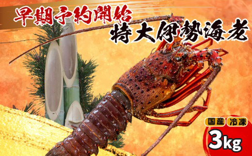 【伊勢海老】 【年末予約配送･1日着】特大伊勢海老 5匹 5匹3kg以上(1月1日配送)