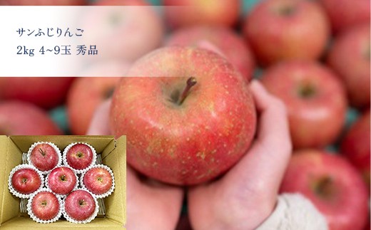 【定期便7回】 なないろフルーツ便B FSY-2731