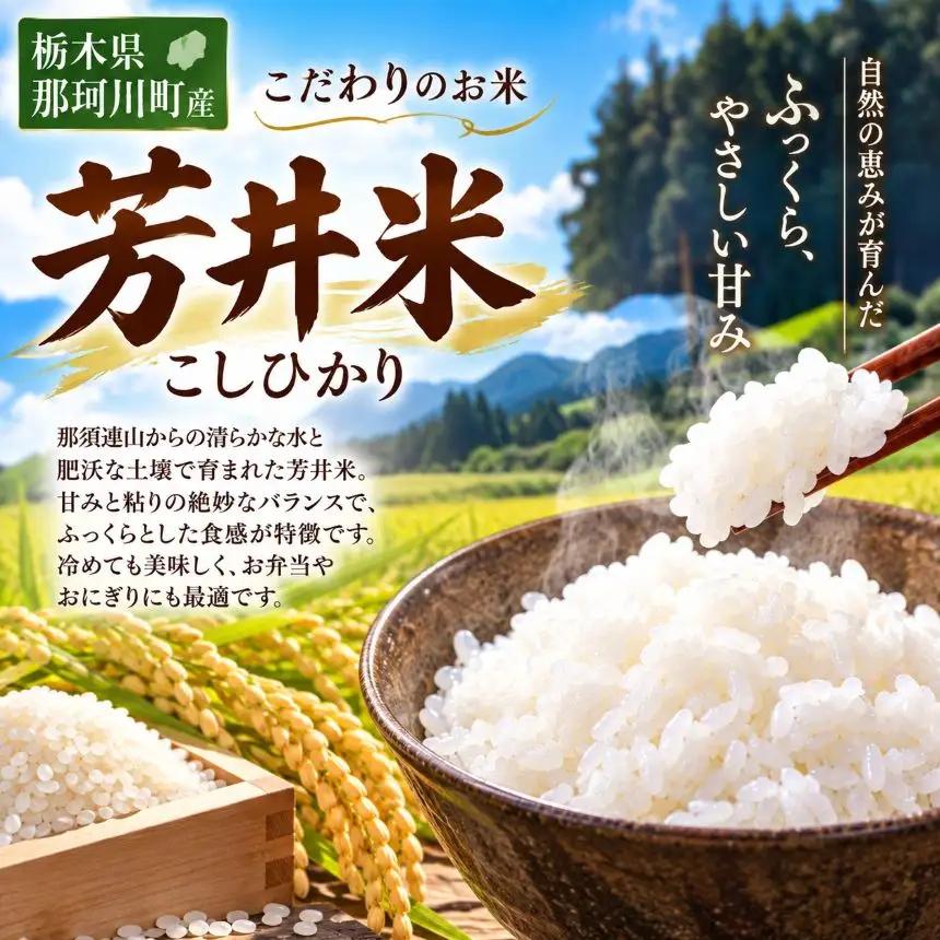 【定期2回】令和8年度産 新米 那珂川町産芳井米 3kg｜栃木県 那珂川町 送料無料