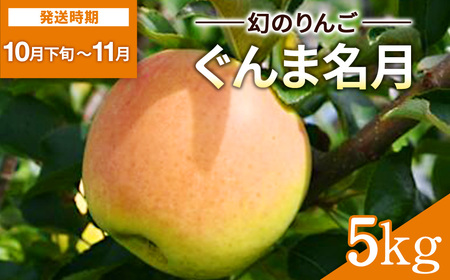 希少価値高い ぐんま名月 5kg りんご 林檎 果物 フルーツ【田村果樹園】[B6-10804]
