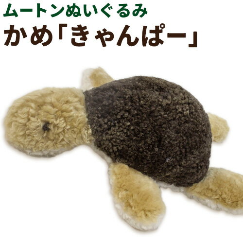 【ふるさと納税】ムートン ぬいぐるみ かめ きゃんぱー 有限会社クラフトワークス《30日以内に出荷予定(土日祝除く)》大阪府 羽曳野市 プレゼント インテリア 羊 羊毛