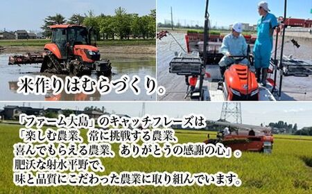 【3ヶ月定期便】【射水市】【総理大臣賞】【三世代交流】【射水の美味しいお米】射水市 おおしま ほほ笑み米 R8年度産 富富富 15kg（5kg×3）【玄米】｜ お米 令和8年産米 銘柄米 こめ 小分け
