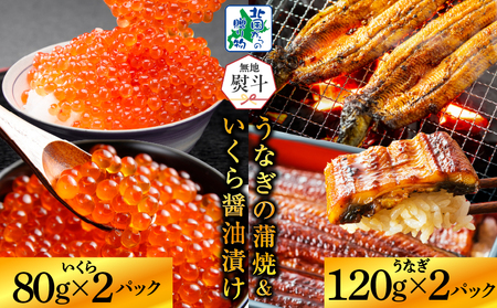 【無地熨斗】五郎藤 国産 関西風 地焼き有頭旨鰻 120g×2尾＆いくら醤油漬け 80g×2パック