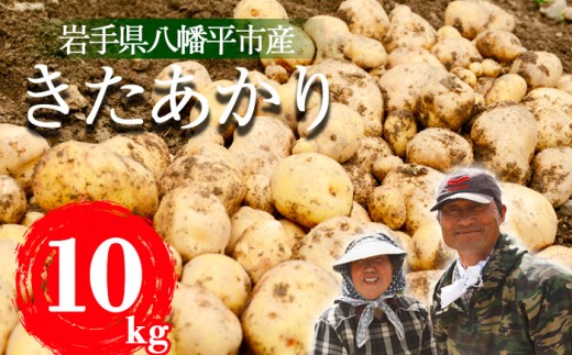 ＜2026年8月中旬発送開始予定＞ 岩手県産 じゃがいも きたあかり 10kg 【松浦農園】／ ジャガイモ じゃが芋 キタアカリ 芋 いも お芋 おいも 馬鈴薯 ばれいしょ ポテト 農家直送 産地直送