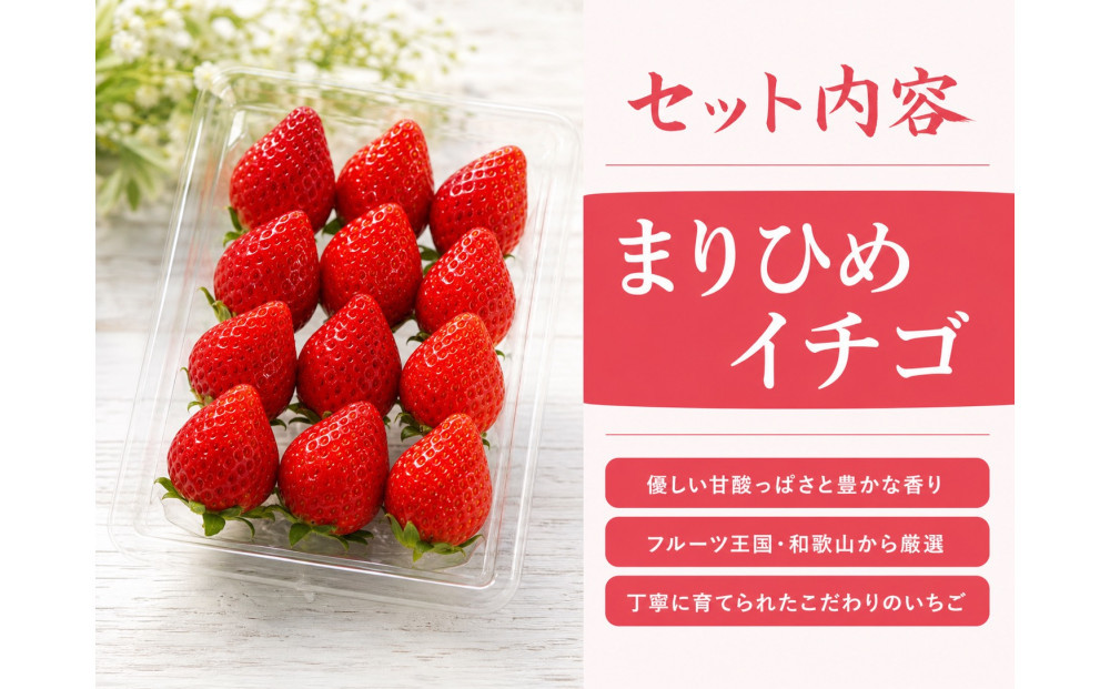 紀州和歌山ブランドいちご「まりひめ」約250g×4P ［2027年3月上旬頃～3月下旬頃に順次発送］［UT39］