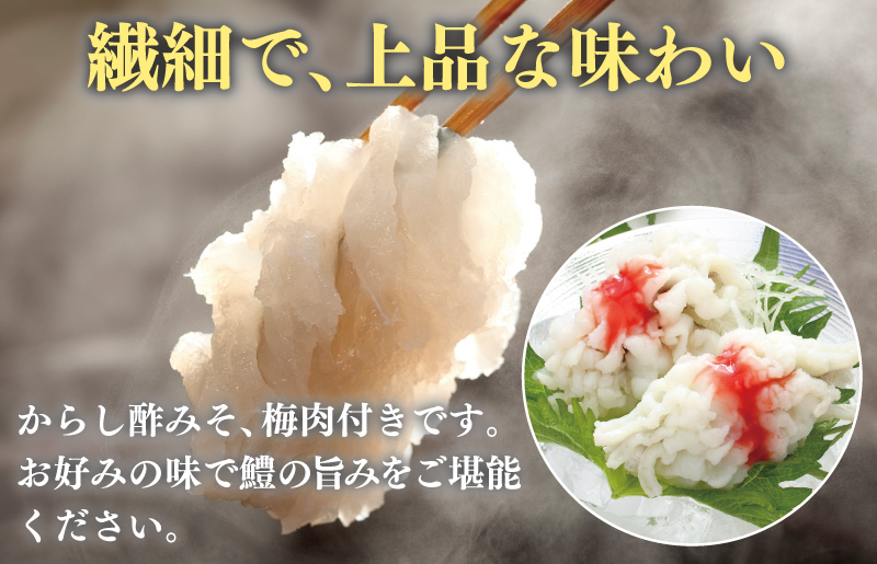 鱧おとし 350g（からし酢みそ、梅肉付） G1863