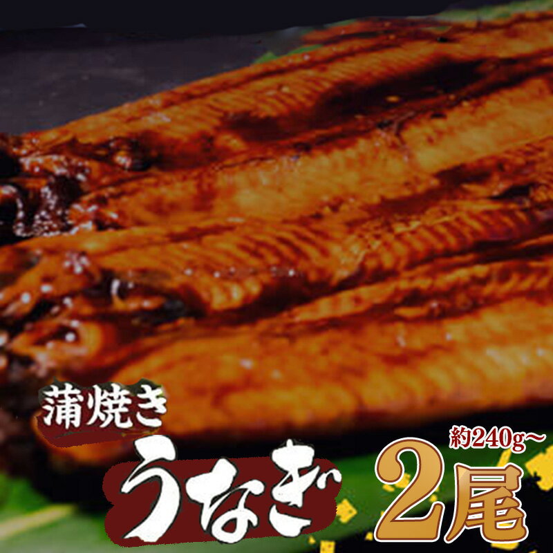【ふるさと納税】 有頭 うなぎ 蒲焼 2尾 240g以上（ 120g～140g × 2尾 ） | 鰻 ウナギ 蒲焼 蒲焼き 大人気 タレ スタミナ 夏バテ 小分け 真空包装 冷凍 台湾産 養殖 高知県 須崎市 ふるさと納税うなぎ ME065_x