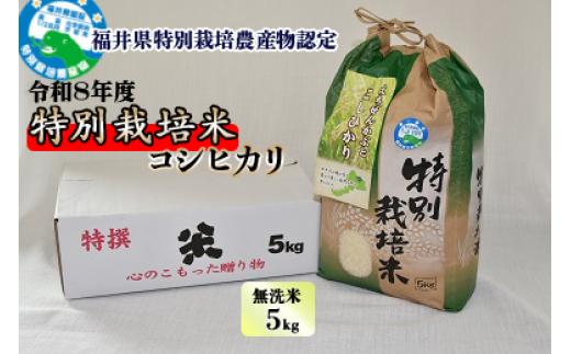 【先行予約】令和8年産 新米 特別栽培米コシヒカリ 5kg ×1袋（無洗米）【2026年9月29日より順次発送】 | 米 コシヒカリ 新米 無洗米 特別栽培米 令和8年産 福井県産 福井県 勝山市 ブランド米 国産米 5kg×1袋 5kg お米 農家直送 先行予約 ごはん 主食 お取り寄せ 北陸 美味しいお米 甘いお米 人気 おすすめ [A-005011] [A-005011]