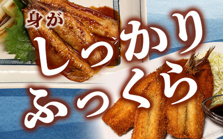無塩いわし開き 40尾 骨抜き 鰯 干物