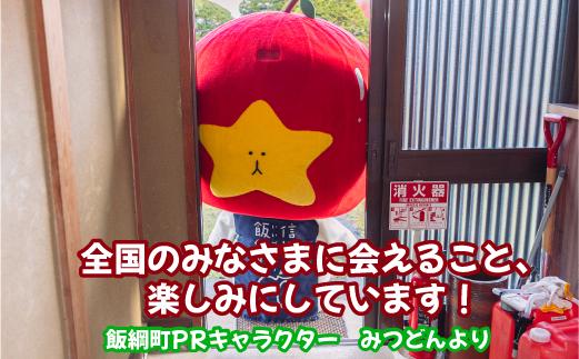 飯綱町PRキャラクター みつどん 旬のりんご 家庭用 5kg 全国お届け便 品種はおまかせ あたなのお家にお届けします！ 信州 果物 フルーツ りんご 林檎 長野 飯綱 いいづな PR キャラクター 妖精 ゆるキャラ ご当地キャラ かわいい 長野県 飯綱町 [1774]