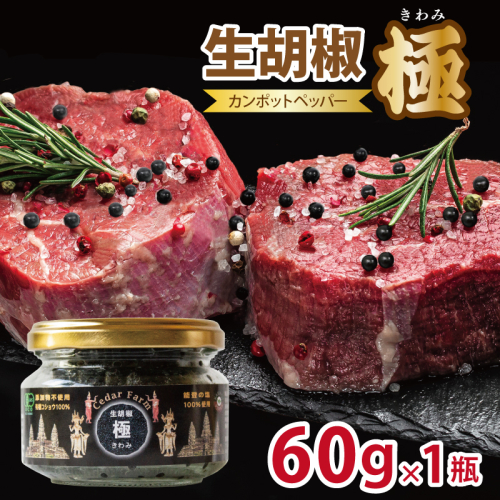 生胡椒 極(きわみ) 60g×1本【能登の塩 コショウ こしょう カンポットペッパー スパイス カンボジア】 099H4173