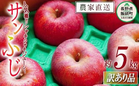 りんご サンふじ 訳あり 5kg ファームたんぽぽ 沖縄県への配送不可  2024年12月上旬頃から2024年12月下旬頃まで順次発送予定 令和6年度収穫分 除草剤不使用 長野県 飯綱町 [1473]