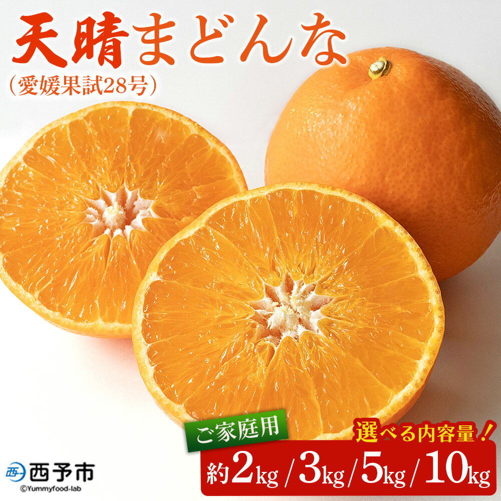 【ふるさと納税】【先行予約】紅まどんなと同品種！＜天晴まどんな（愛媛果試28号）ご家庭用 約2kg／3kg／5kg／10kg＞ マドンナ 訳あり 果物 くだもの フルーツ みかん ミカン 柑橘 笑丸 特産品 愛媛県 西予市【常温】『2026年12月上旬～12月中旬迄に順次出荷予定』