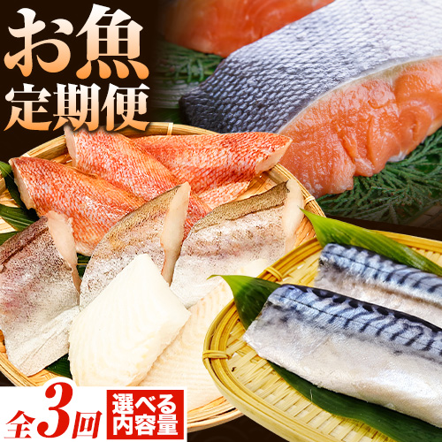 【定期便 全3回】サバフィレ 銀鮭切身 魚切り身詰合せ 選べる 内容量 株式会社魚鶴商店《お申し込み月の翌月より出荷開始》 和歌山県 日高町 鮭 さけ 紅さけ 切り身 さば 塩さば 焼き魚 焼くだけ 簡単 魚 さかな タラ