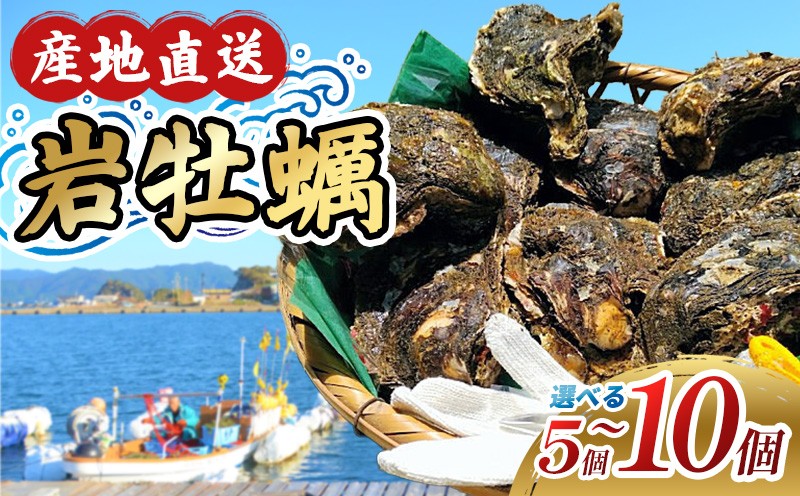 
                  【選べる容量】牡蠣 岩ガキ 5ケ～10ケ入 カキ 岩牡蠣 いわがき 殻付き牡蠣 岩牡蠣セット 国産 海鮮 魚介類 貝 水産 冷蔵 フライ グラタン おかず 炊き込み ご飯 BBQ ギフト お中元 伊勢 志摩 三重県 南伊勢
                