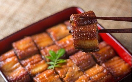 うなぎ グルメ缶詰 16缶 缶詰 ［1298］