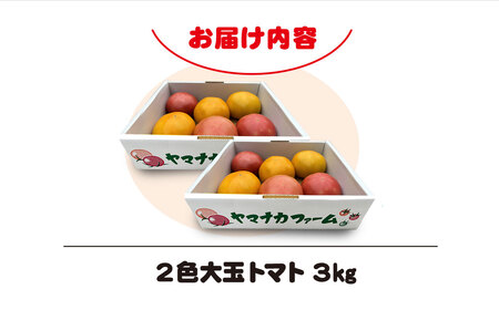 赤金2色（大玉）トマト SHAK005