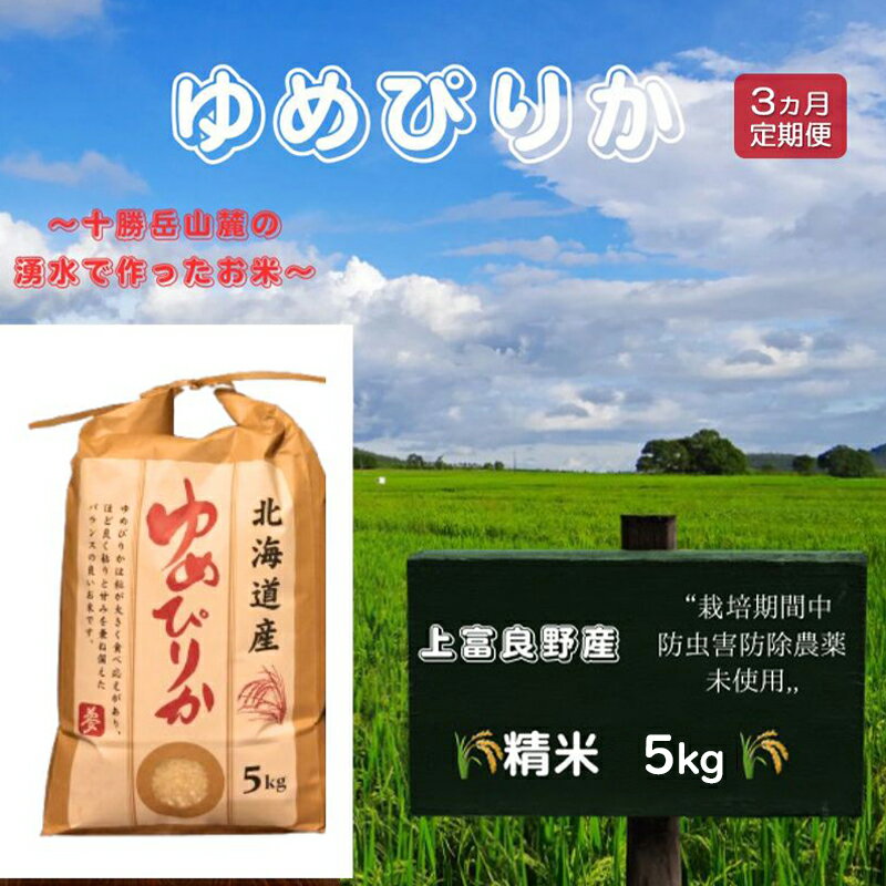 【ふるさと納税】北海道 上富良野産「 ゆめぴりか 」特別栽培 白米 5kg（令和7年産）【定期便 全3回】 お米 日用品 ライス ご飯 食べ物 ストック 常備品 北海道産 おにぎり お弁当　お届け：2025年10月中旬～2026年6月末まで