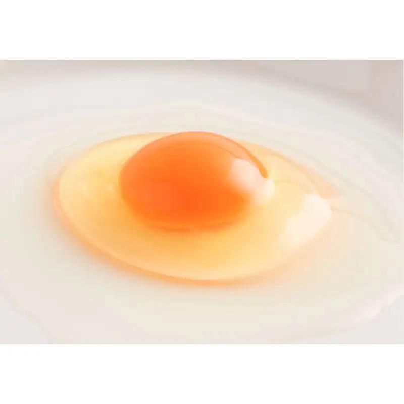 （冷蔵）生食「卵」専門店　たいまのけはやたまご　純国産鶏「もみじ」／道の駅かつらぎ　奈良県　葛城市【ekik003】