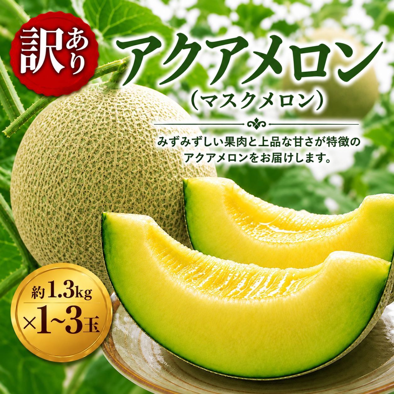 【ふるさと納税】訳あり 千葉 アクアメロン 約1.3kg × 1玉~3玉 メロン めろん マスクメロン ますくめろん くだもの フルーツ ふるーつ サイズ 大玉 甘い 温室メロン 訳あり デザート アールスメロン 10000 戸田メロン 千葉県 東金