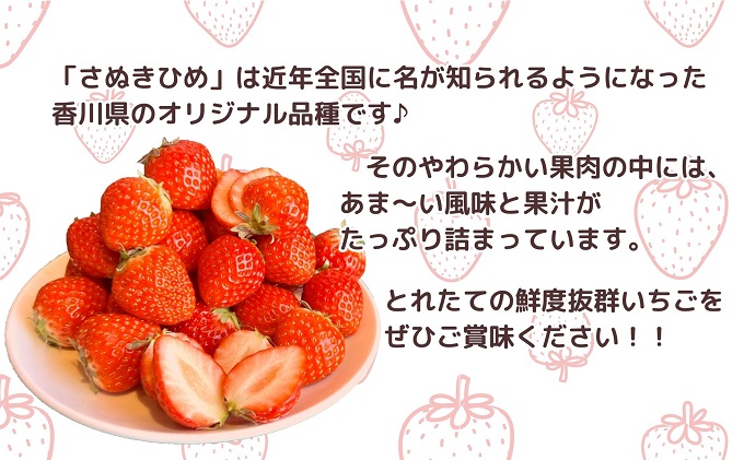 【2026年2月中旬より順次発送】秀品！さぬきひめ　8パック 