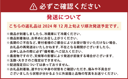 【2024年12月上旬発送開始】 絢音ベリー農園 紅ほっぺ いちご 1kg （ 250g × 4パック ）