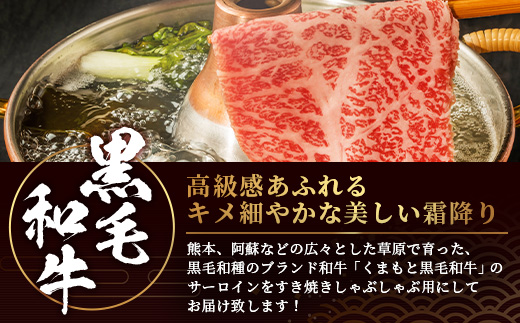 ★厳選部位【A4〜 A5等級】くまもと黒毛和牛サーロイン ≪ しゃぶしゃぶ すき焼き用 300ｇ≫ ブランド 牛肉 肉 サーロイン すきやき スキヤキ ご馳走 ご褒美 和牛 国産 熊本県 上級 上質 