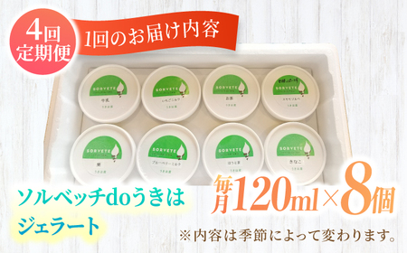 【4回定期便】果樹園が作る 素材の味を楽しめる 旬のジェラート 120ml×8個セット【ソルベッチdoうきは】着色料不使用 ノンホモ牛乳使用 ジェラート アイス 旬 スイーツ 詰め合わせ セット シャ