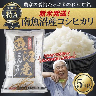 ふるさと納税 南魚沼市 令和7年産 新潟県 南魚沼産 コシヒカリ 5kg (美味しいお米の炊き方ガイド付き)