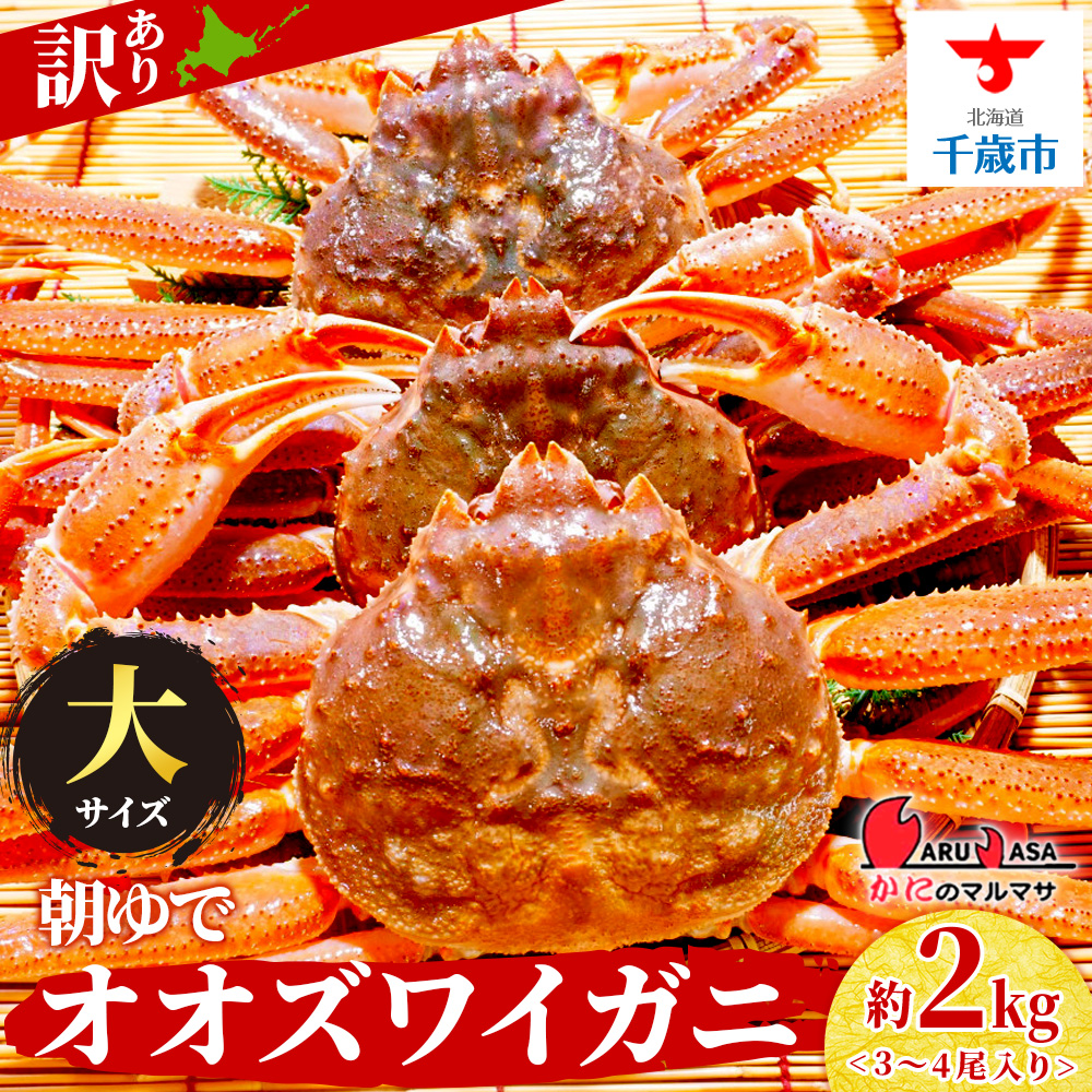 北海道産【 朝ゆで 】訳ありオオズワイガニ 2.0kg詰 ＜かにのマルマサ＞道産品 オオズワイ ズワイガニ ずわい蟹 カニ 蟹 規格外品 不揃い 訳アリ 訳有り