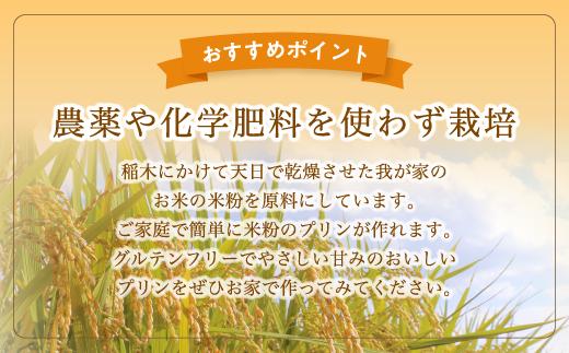 米粉プリンの素 200g（40g×5袋） / プリン スイーツ お菓子 綾部市 / 水田家の食卓［BSDI002］