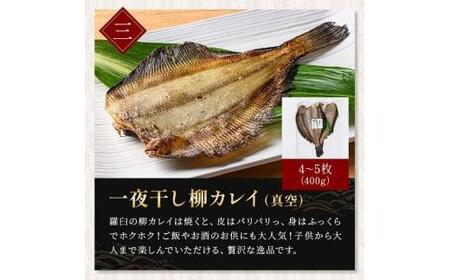 北海道産 一夜干し 合計1.65kg セットA 北海道 羅臼 鮮魚 魚 海鮮 八角 カレイ 鯖 一夜干し こまい 氷下魚 生産者 支援 応援