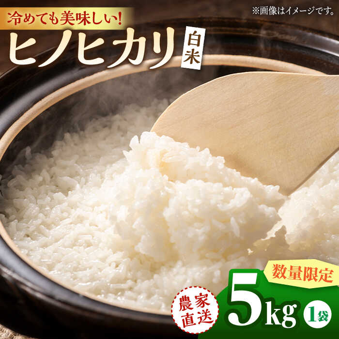 【ふるさと納税】〈令和7年度産米〉ヒノヒカリ 白米 5kg【竹下農園】[ZEL014] 白米 米 おすすめ 人気 ランキング ブランド 量 口コミ 評判 ひのひかり 名水 百選 ミネラル 豊富 国産 九州 熊本県 山鹿 コスパ 米 こめ ご飯 ごはん お取り寄せ 事業者応援 送料無料
