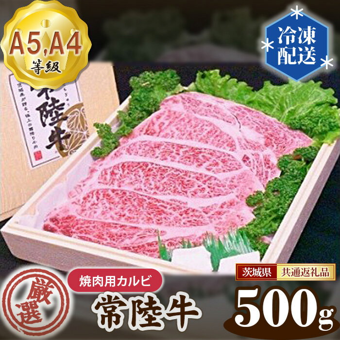 【ふるさと納税】常陸牛 厳選！焼肉用カルビ500g（A5・A4等級）＜茨城県共通返礼品＞ ／ A5・A4等級 牛肉 ブランド牛 旨み 柔らかい 国産 黒毛和牛 高級 贅沢 ご褒美 贈答 ギフト ご家庭 高級ブランド和牛 茨城県 送料無料 茨城県 No.100