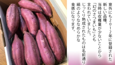 さつまいも 「 シルクスイート 」 5kg 旬 甘い 芋 いも サツマイモ スイーツ 野菜