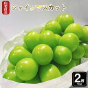 【ふるさと納税】＜2024年先行予約＞厳選!!池田青果のシャインマスカット1.0kg　2~3房 ふるさと納税 シャインマスカット 笛吹市 国産 人気 期間限定 ぶどう ブドウ 葡萄 旬 果物 フルーツ 山梨県 送料無料 先行予約 173-006