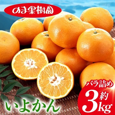 のま果樹園のいよかん(約3kg)バラ詰め【1759257】