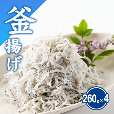 【ふるさと納税】 湘南しらす 計 1kg 以上 260g × 4 パック 釜揚げしらす 釜揚げ しらす シラス sirasu じゃこ ちりめん しらす干し 江の島しらす イワシ 小分け 手軽 海鮮 魚 魚介 魚貝 小魚 ごはん 海鮮丼 丼 米 冷凍 江の島 江ノ島 とびっちょ 国産 神奈川 湘南 藤沢