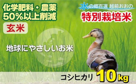 【令和7年産】こしひかり 10kg【玄米】減農薬・減化学肥料 「特別栽培米」－地球にやさしいお米－[A-003010]